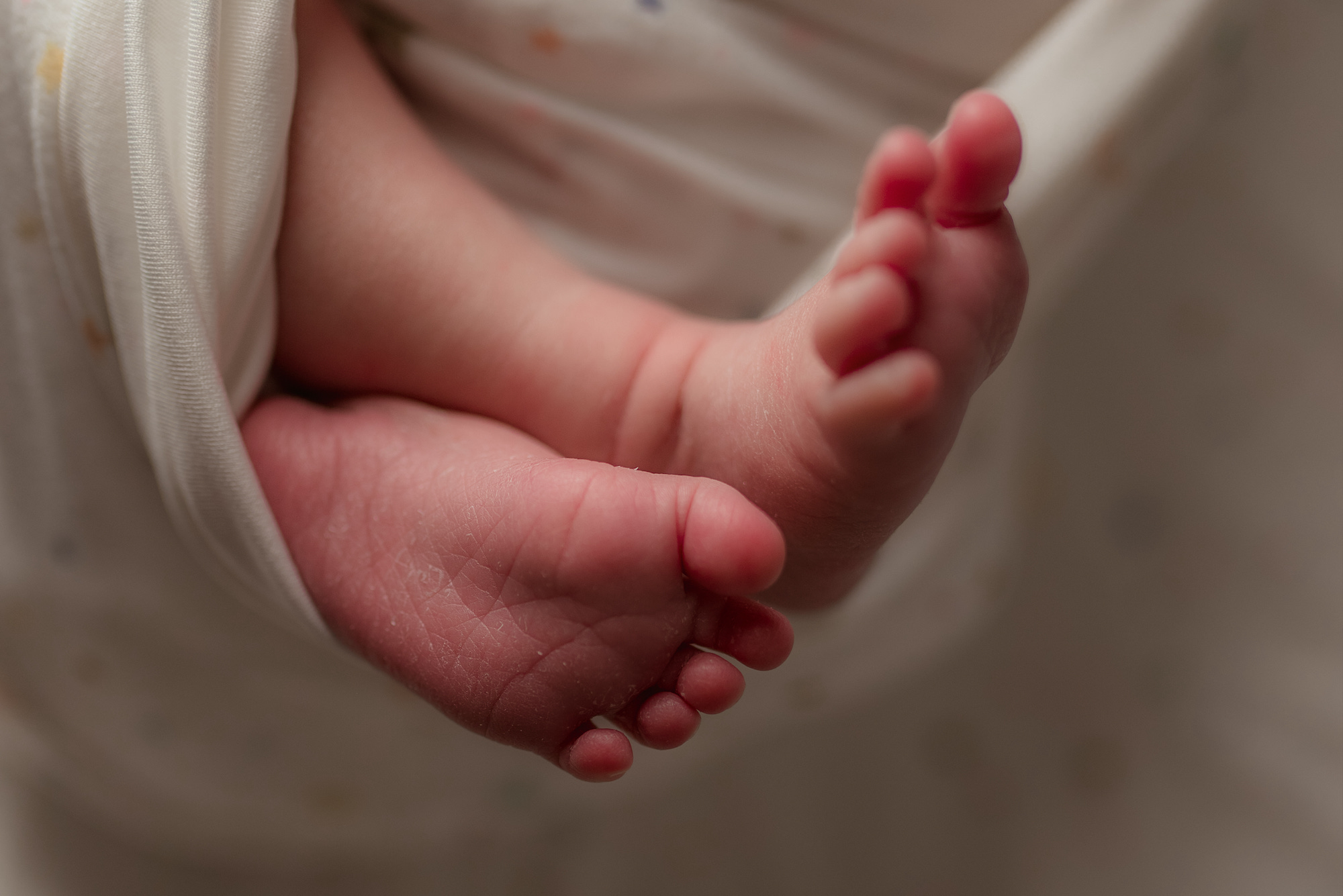 best des moines newborn photography, get baby pictures taken